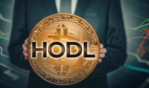 What Is HODL Strategy?